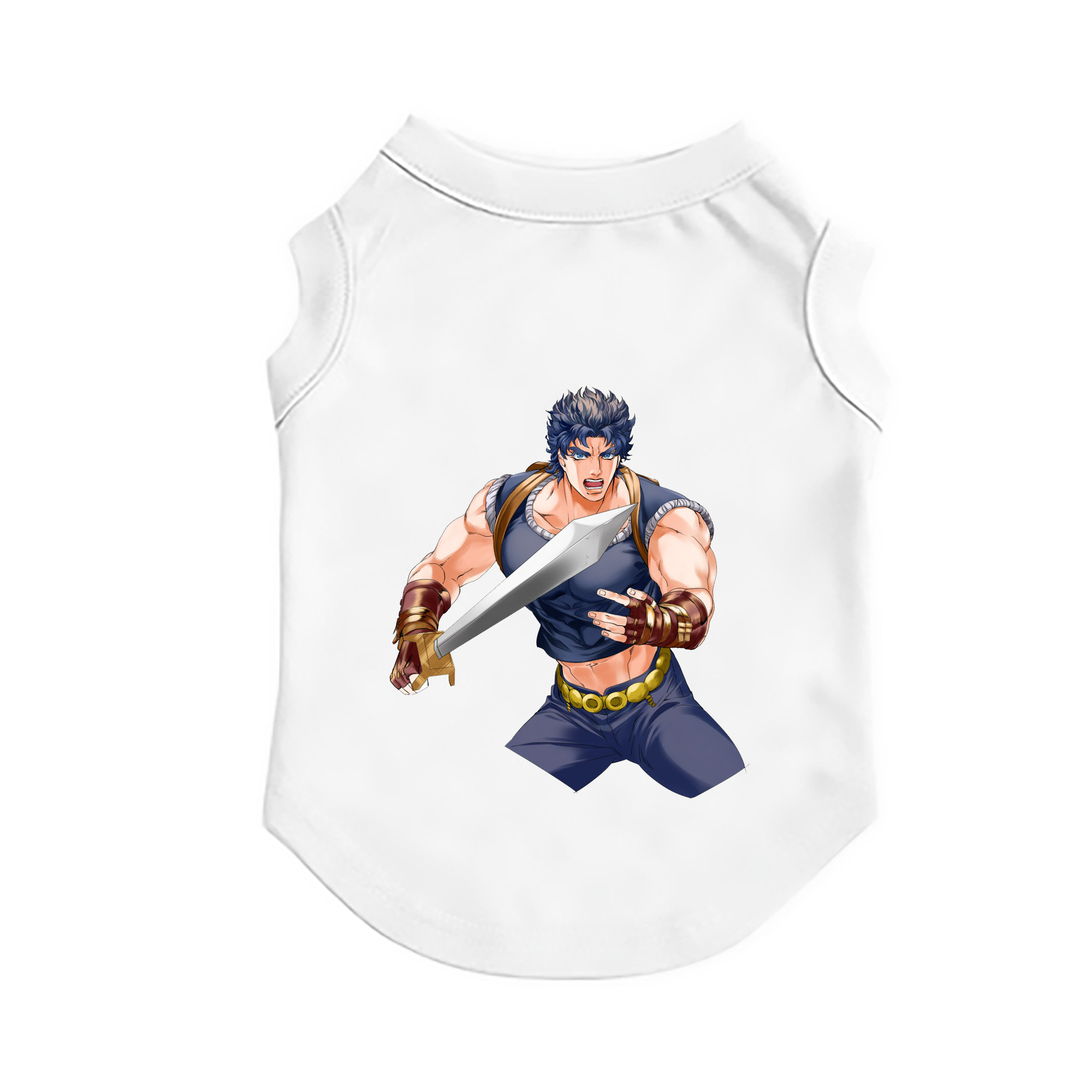 （画像用） ジョジョの奇妙な冒険 /ジョナサン?ジョースター JoJo's Bizarre Adventure Jonathan Joestar ペット用ベスト
