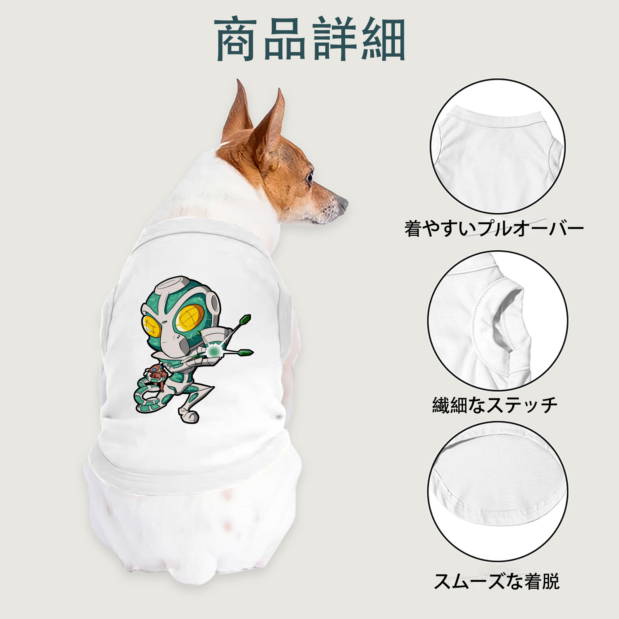 一般的なイメージ